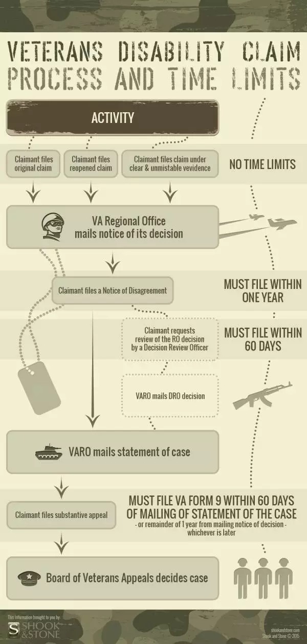Veteran Infographic
